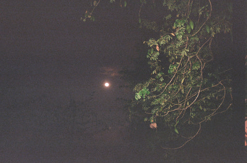 MOON BATHING + STAR GAZING