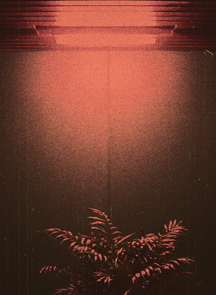 DAY-LAB
