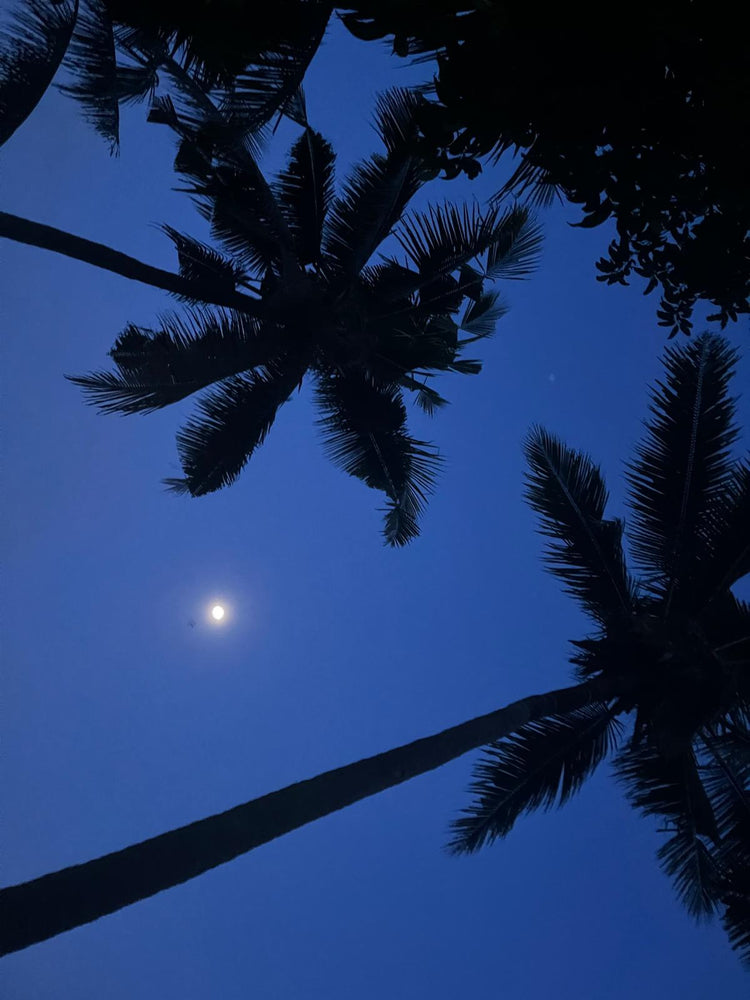 NIGHT-LAB