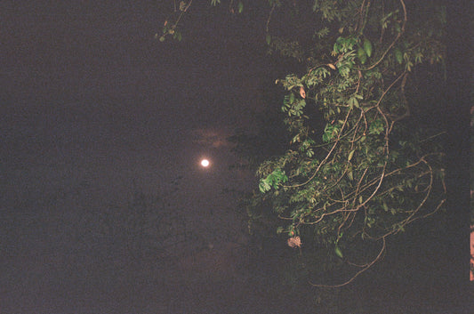MOON BATHING + STAR GAZING