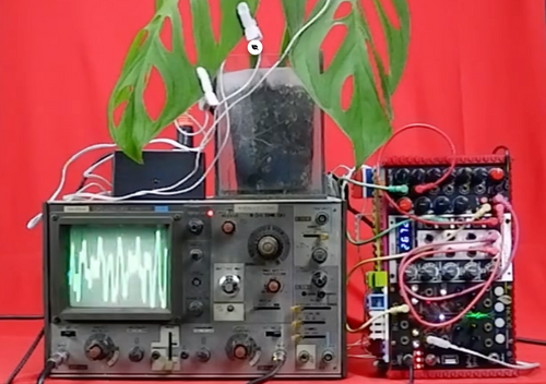 NIGHT LISTENING PROGRAM - SYMPHONY OF SOUNDS